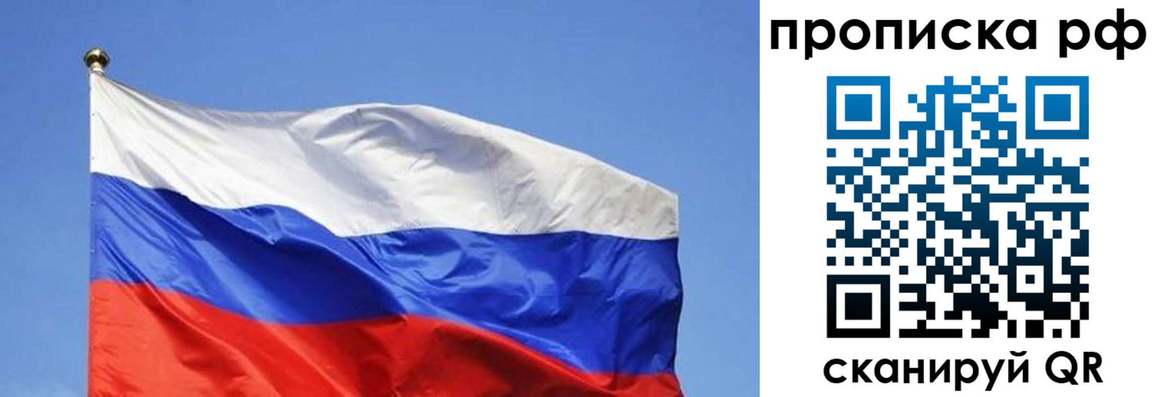 прописка штамп в Дубовке